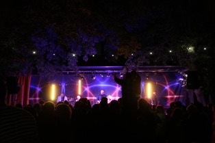 Wells Carnival from the crowd