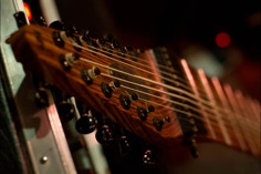 Chapman Grand Stick in zebrawood 